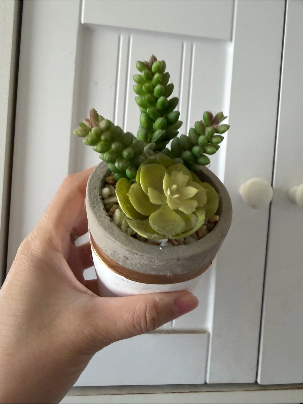 Set 2 Mini Faux Succulent Plant Pot Green burrito white modern home decor desk